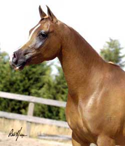 Valouria in 2005